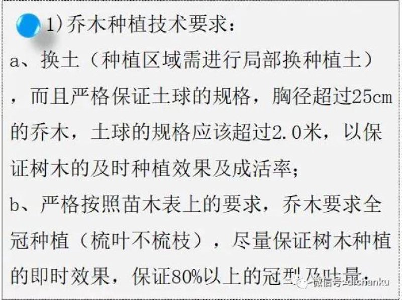 景观树苗品种横向对比：常绿、彩叶与观花树优劣势解析